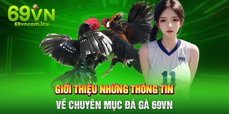 Đôi nét thông tin về sảnh đá gà 69VN