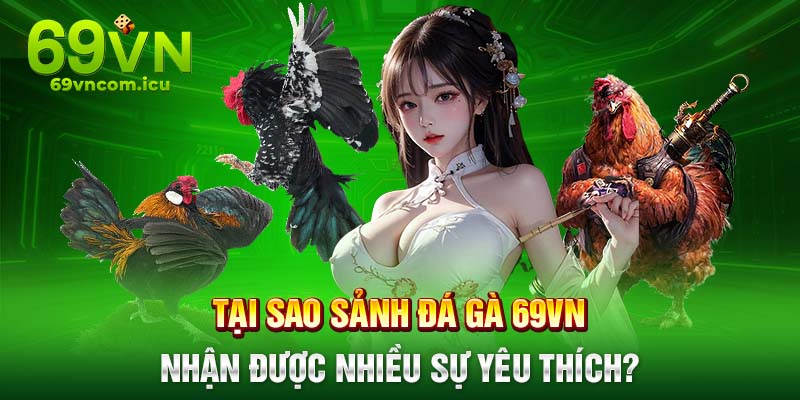 Vì sao sảnh đá gà 69VN được nhiều người tham gia