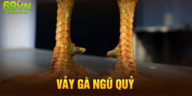 Vảy Gà Ngũ Quỷ - Đặc Điểm Nhận Biết Và Độ Quý Hiếm